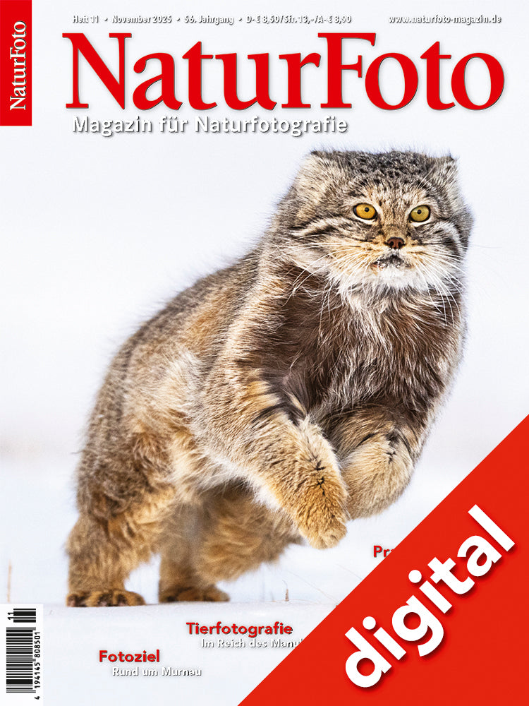 NaturFoto 11/2025 Digital